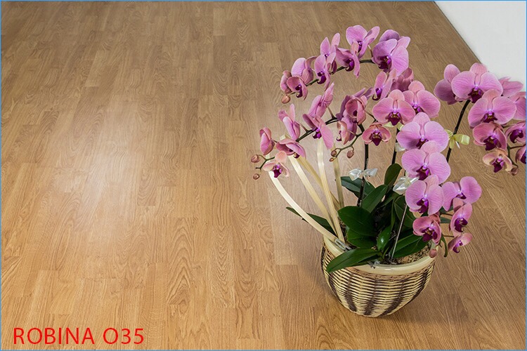 Sàn gỗ Robina O35 Sàn gỗ Robina O35