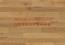 Sàn gỗ Hàn Quốc 2047
