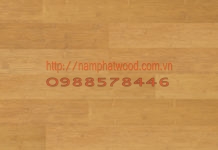Sàn gỗ Hàn Quốc 2209