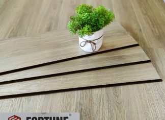 Sàn gỗ Fortune 811