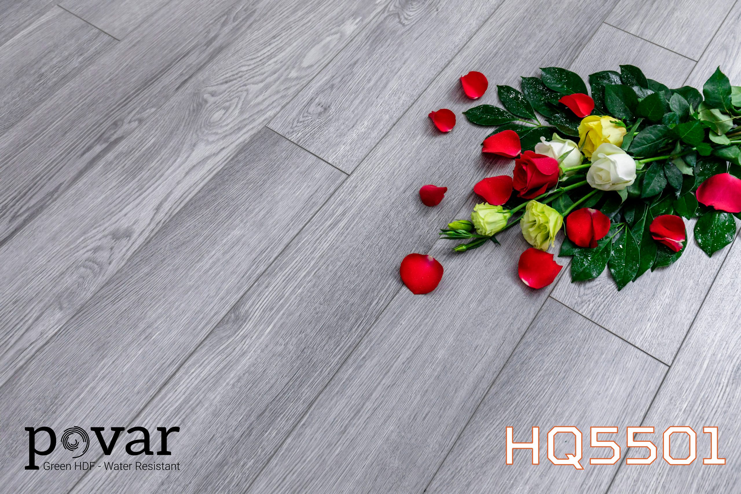 Sàn gỗ Povar HQ5501 Sàn gỗ Povar HQ5501