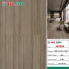 Sàn gỗ Wilson 12mm WS808