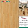 Sàn gỗ Wilson 12mm WS820
