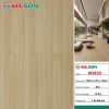 Sàn gỗ Wilson 12mm WS822