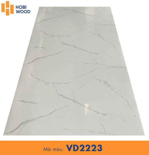 Tấm PVC Hobi VD2223
