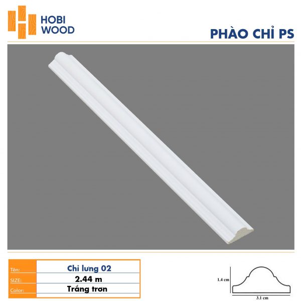 Phào lưng cân 31
